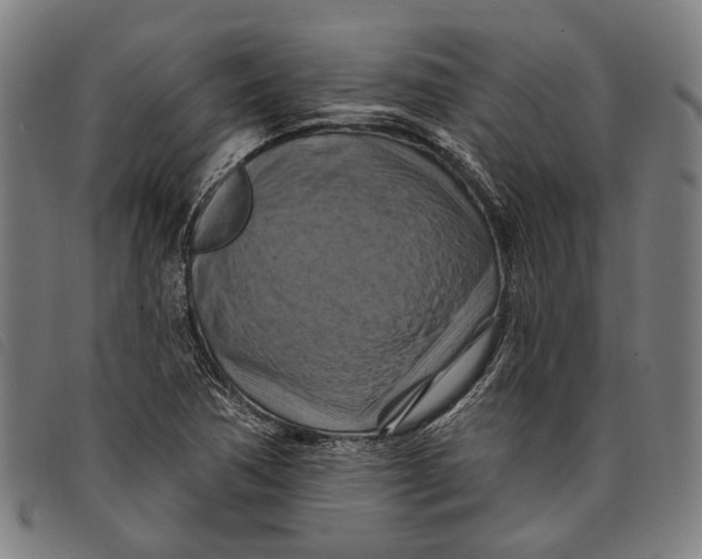 X0000097831362200804041412