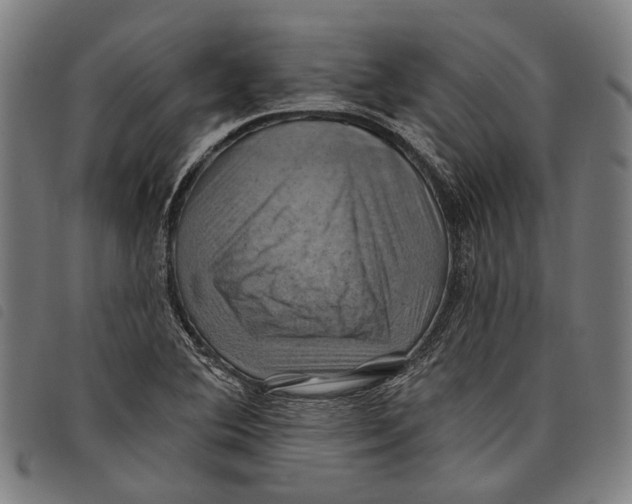 X0000097831364200804041412