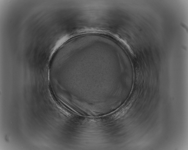 X0000097831365200804041412