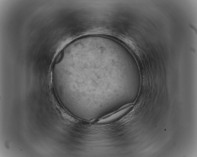 X0000097831366200804041412