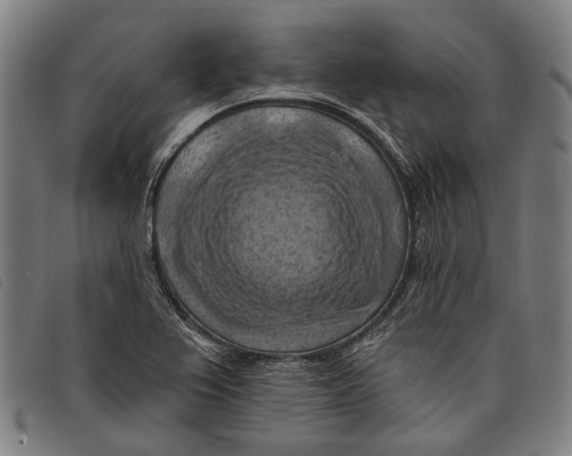 X0000097831367200804041412