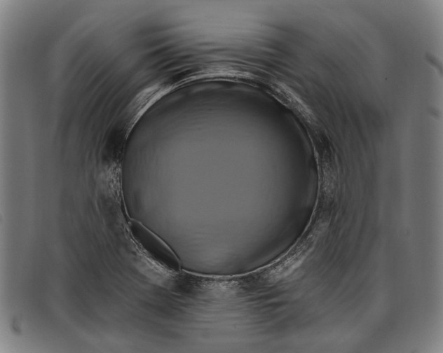 X0000097831369200804041412