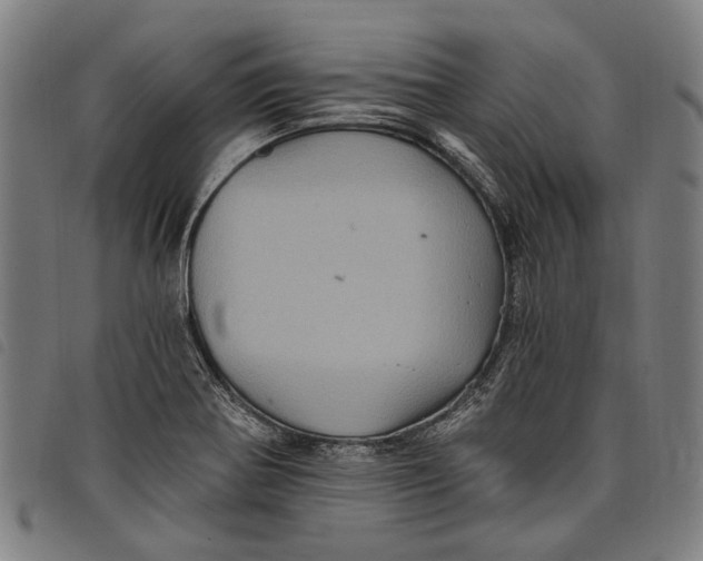 X0000097831370200804041412