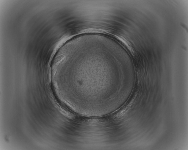 X0000097831371200804041412