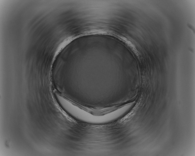 X0000097831373200804041412