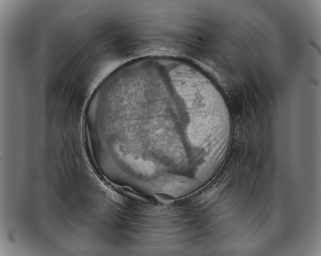 X0000097831375200804041412