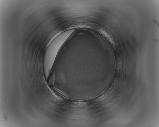 X0000097831377200804041412