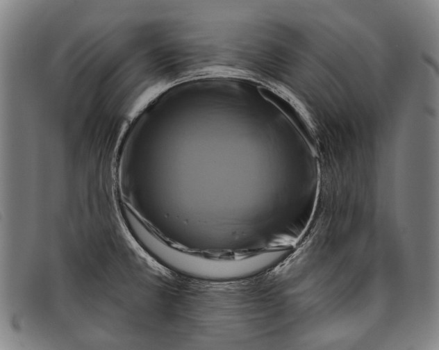 X0000097831381200804041412