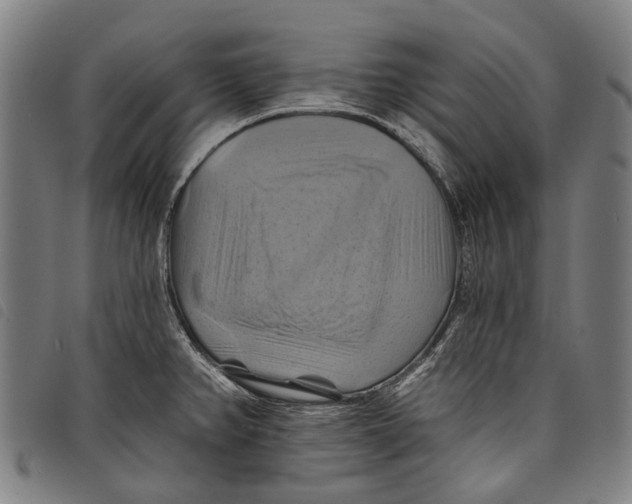 X0000097831382200804041412