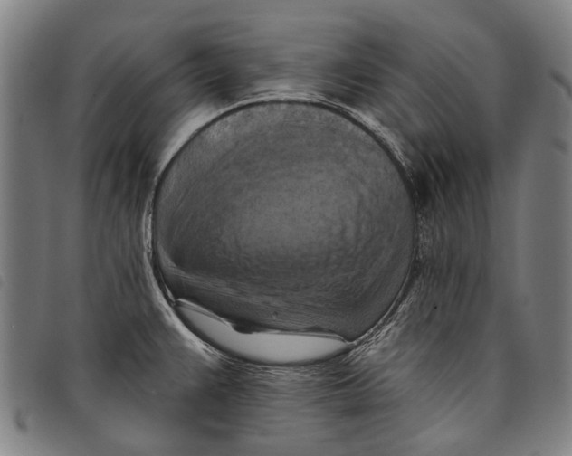 X0000097831383200804041412