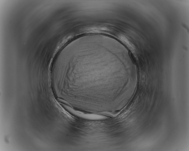 X0000097831384200804041412