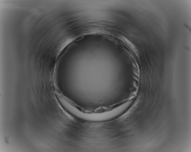 X0000097831385200804041412