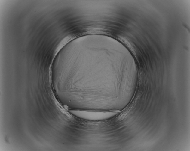 X0000097831386200804041412