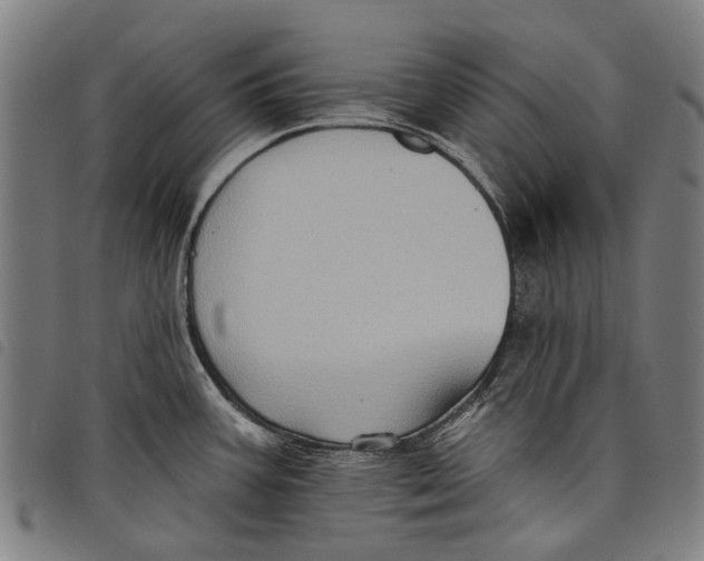 X0000097831387200804041412