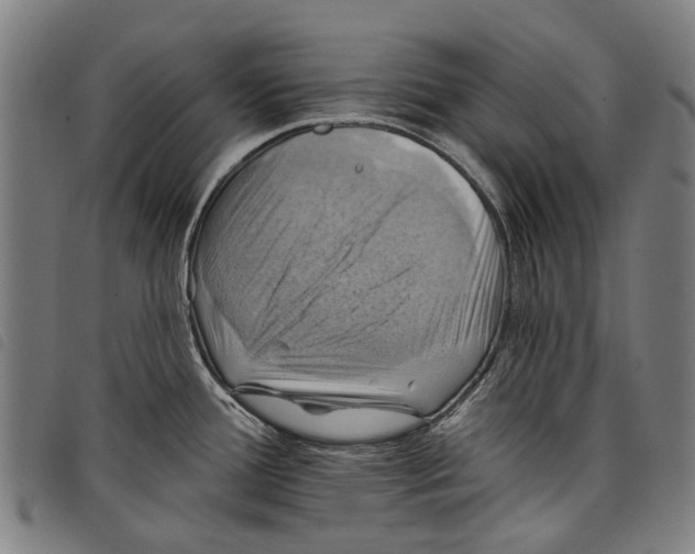 X0000097831388200804041412