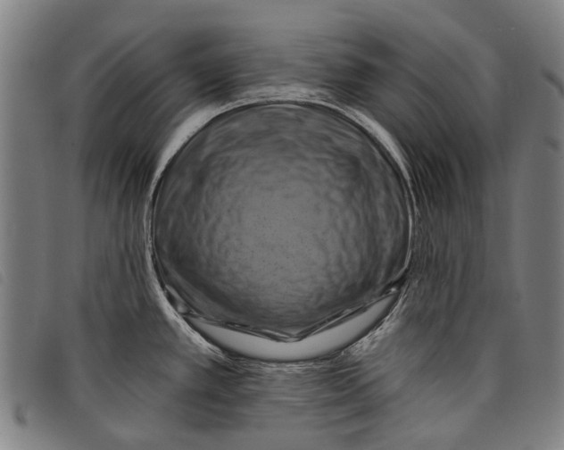 X0000097831389200804041412