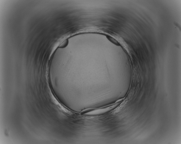 X0000097831390200804041412