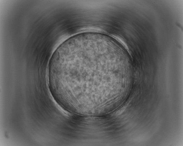 X0000097831391200804041412