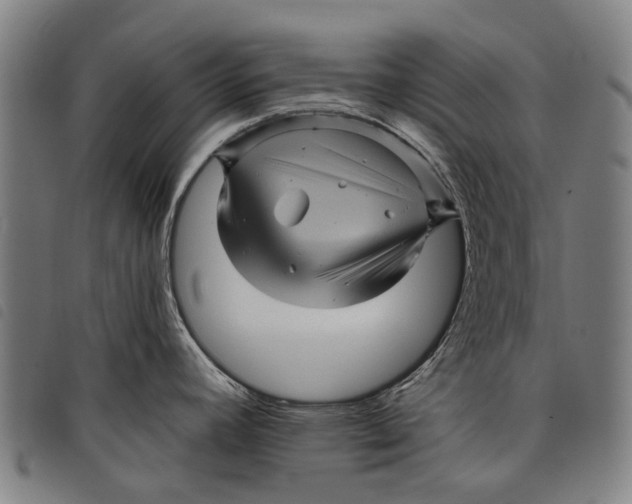 X0000097831392200804041412