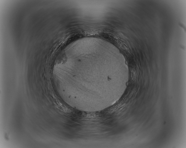 X0000097831393200804041411