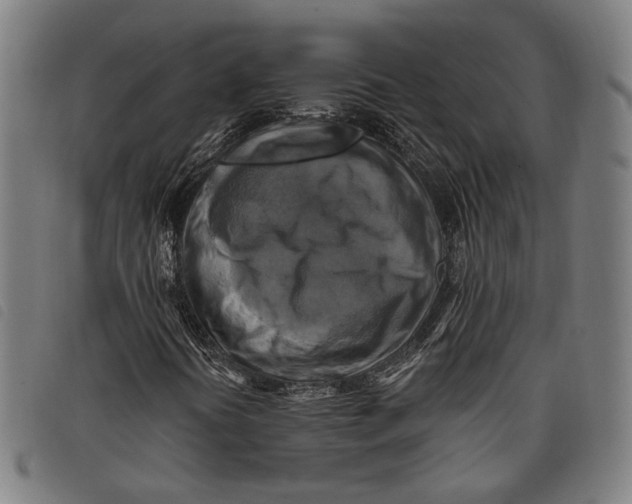 X0000097831394200804041411