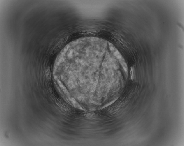 X0000097831395200804041411