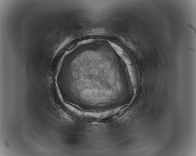 X0000097831400200804041411