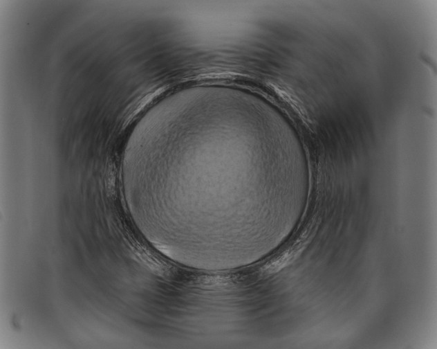 X0000097831401200804041411