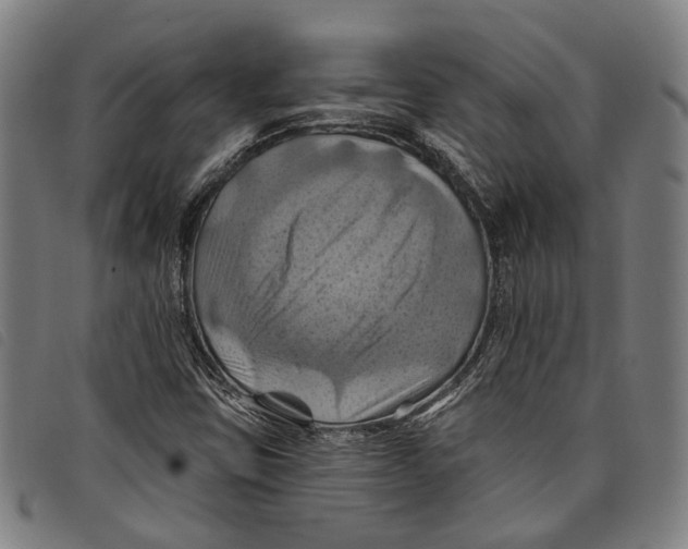 X0000097831403200804041411