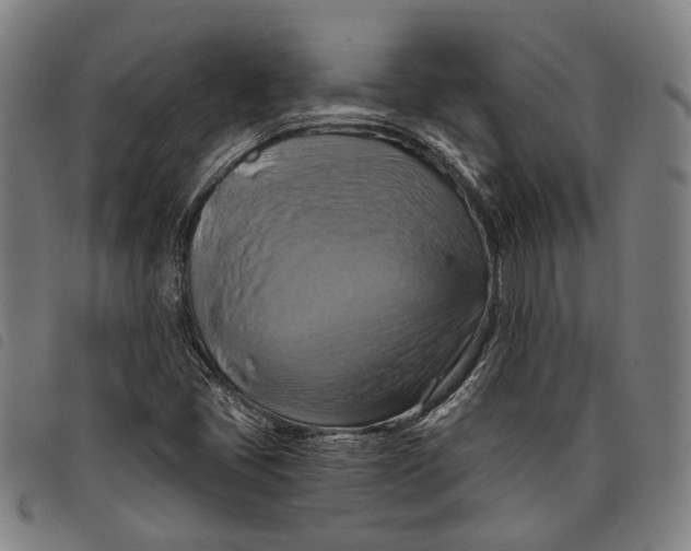 X0000097831405200804041411