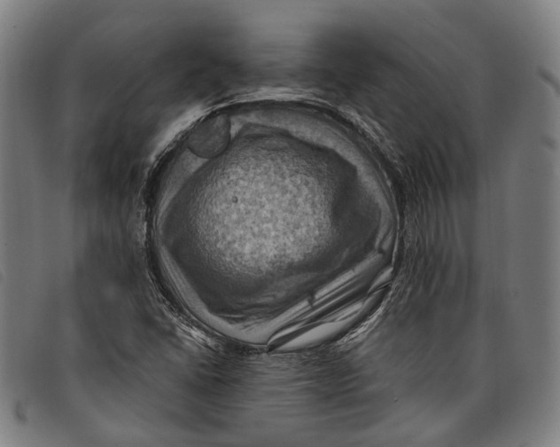 X0000097831406200804041411