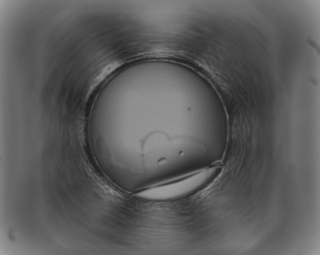 X0000097831410200804041411