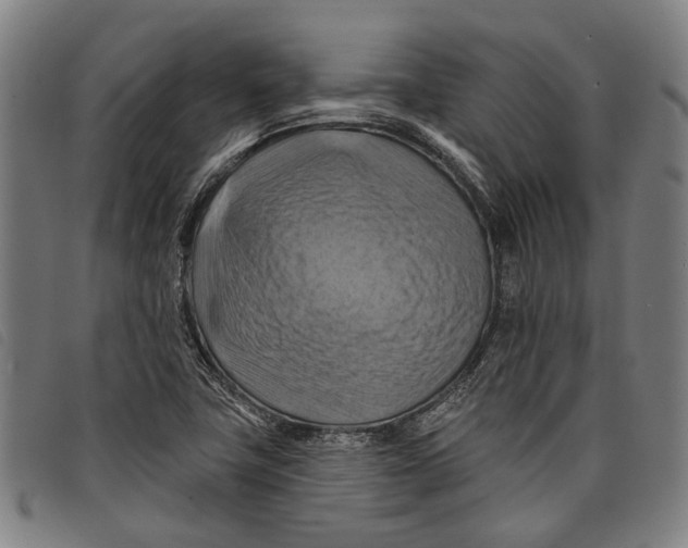 X0000097831411200804041411