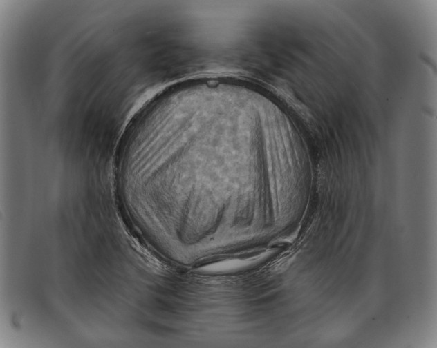 X0000097831412200804041411