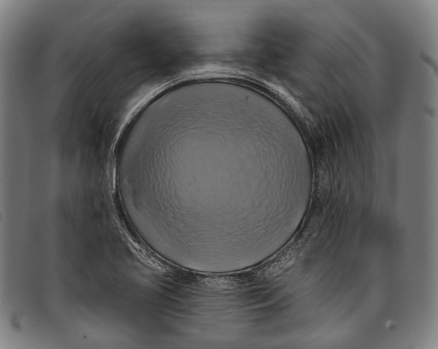 X0000097831413200804041411