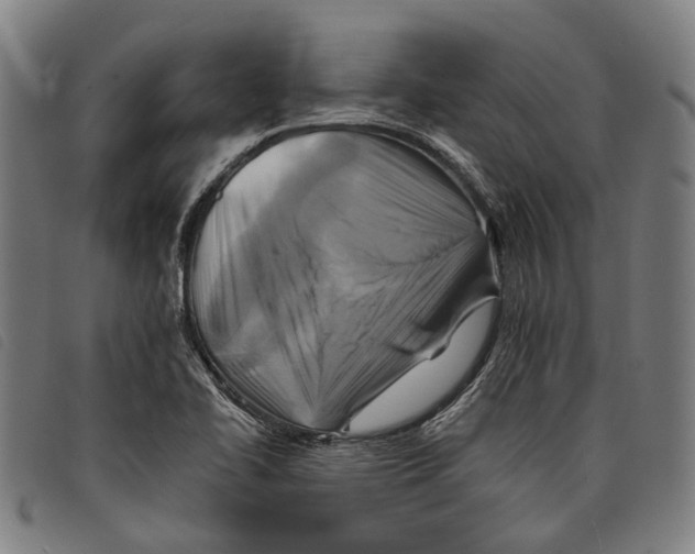 X0000097831414200804041411