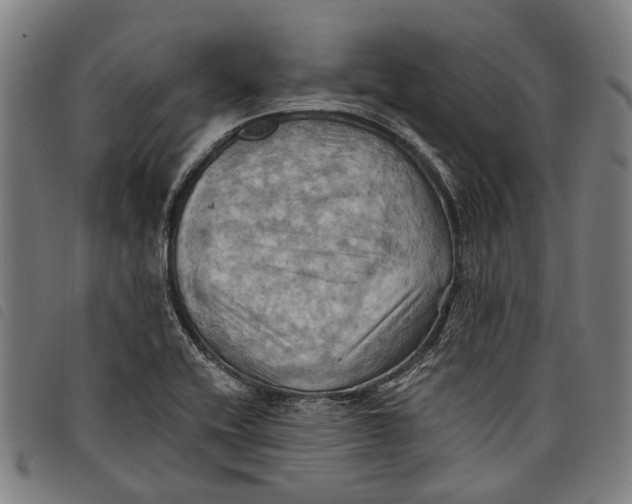 X0000097831416200804041411