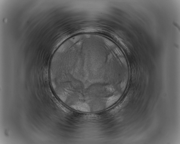 X0000097831417200804041411