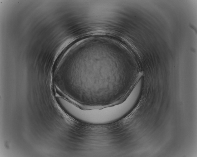 X0000097831418200804041411