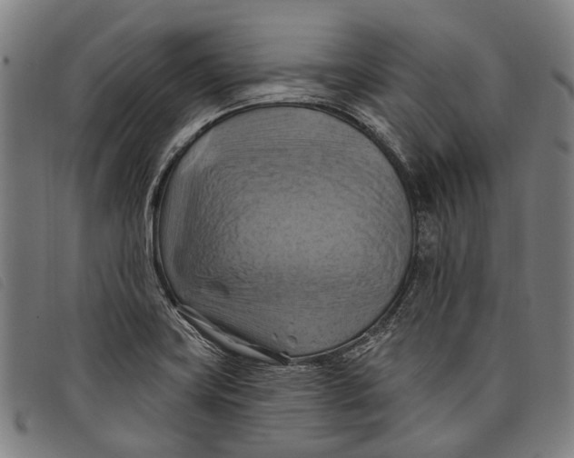 X0000097831419200804041411