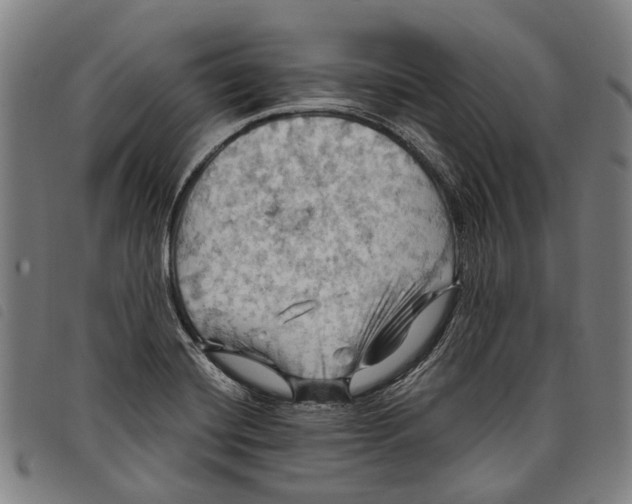 X0000097831420200804041411