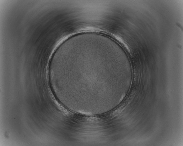 X0000097831421200804041411