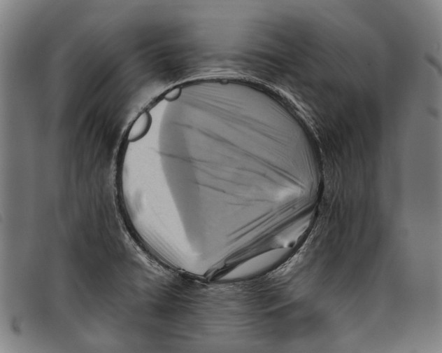 X0000097831422200804041411