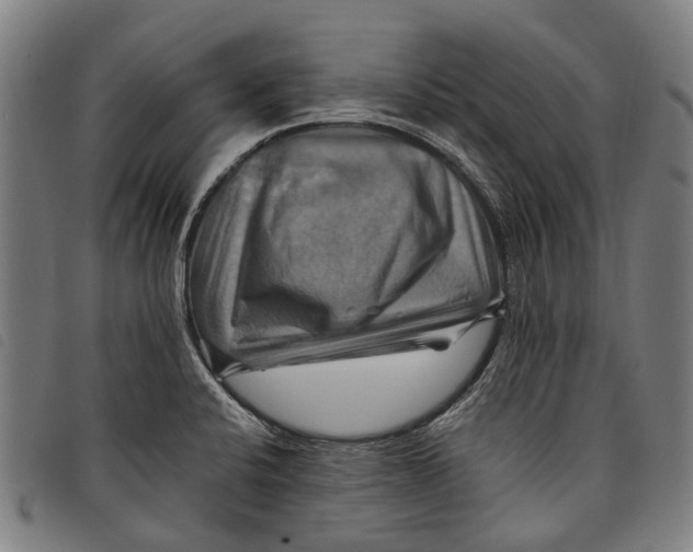 X0000097831424200804041411