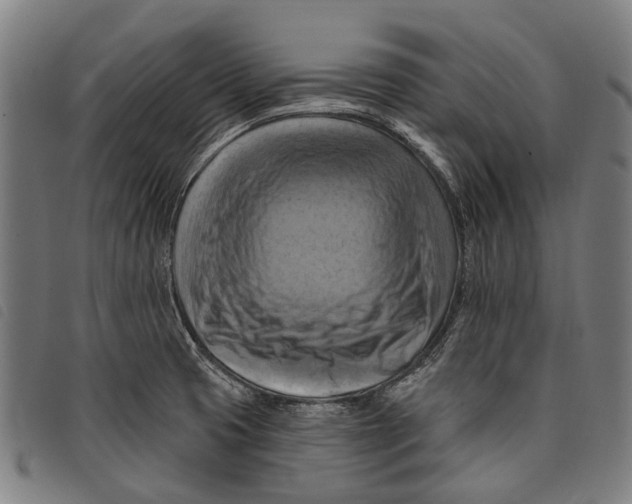 X0000097831425200804041411