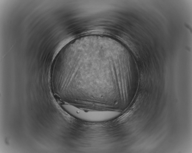 X0000097831426200804041411