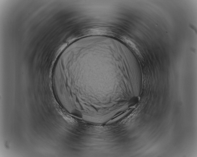 X0000097831427200804041411