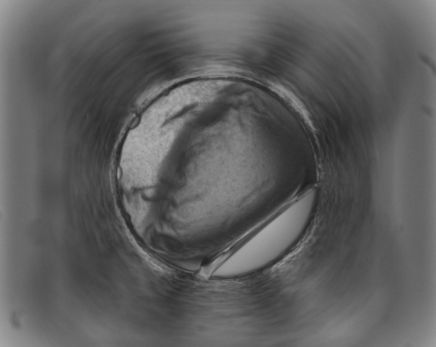 X0000097831429200804041411