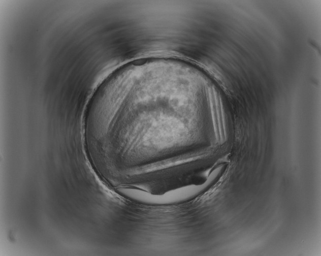 X0000097831430200804041411