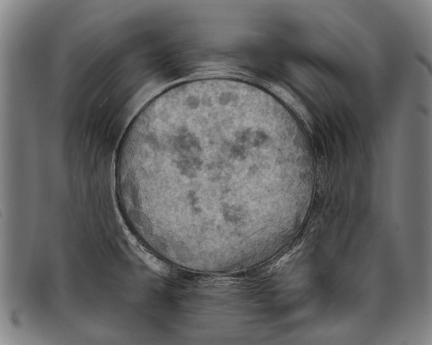 X0000097831431200804041411